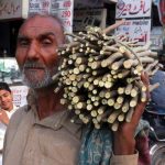 Bobby-Dar-Punjab-Pakistan-miswak-seller-160424b