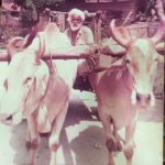 Taiping_Kartar Kaur_Ranga Singh_bullock cart_1b