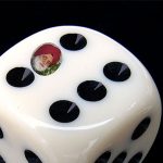 loaded dice_IJ singh_2