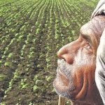 indian farmer_source unknown