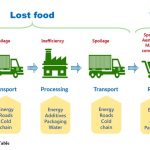Food Chain from Farm to Table