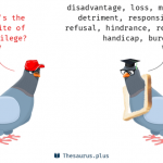 burden of privelege pic