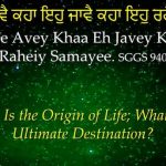 Karminder_Afterlife_1_kehaa te aavey