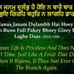 Karminder_Afterlife_4_kabeer manus janam dulambh