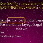 Karminder_Sikhi Concepts_chaurasi lakh_1