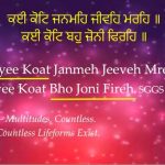 Karminder_Sikhi Concepts_chaurasi lakh_2