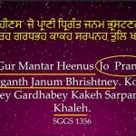 Karminder_Sikhi Concepts_chaurasi lakh_3
