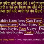 Karminder_Sikhi Concepts_chaurasi lakh_4