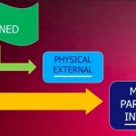 Karminder_Sikhi Concepts_chaurasi lakh_8