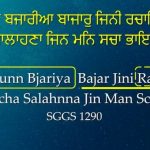 Reincarnation_Karminder_Sikhi Concepts_2