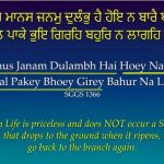 Reincarnation_Karminder_Sikhi Concepts_3