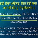 Reincarnation_Karminder_Sikhi Concepts_4