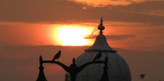 Golak in Our Gurdwaras: A Need for Greater Transparency and Accountability