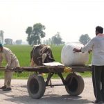 panjab floods_khalsa aid_sept2025