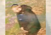 Manhunt after woman raped in racially aggravated attack in Britain